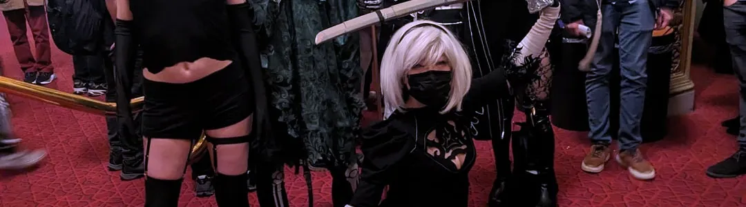 NieR: Orchestra Concert